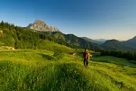 Ferienwohnung Fichtler6